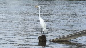 出前の代経費はどこまで認められるのか？