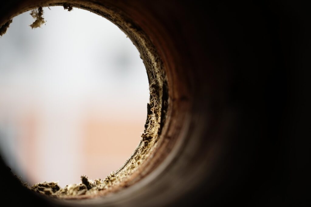 20代男性が開業届を出すタイミングはいつがベスト？