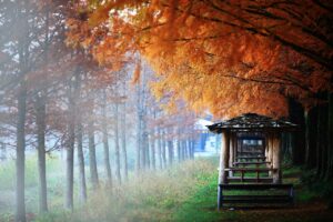 BOOTHでの収益に関する確定申告と住民税の普通徴収方法は20代男性にどう影響する？