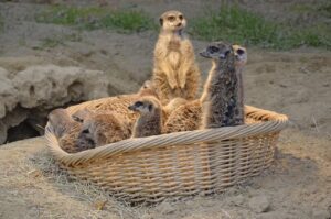 外付けSSDの経費計上はどのようにできる？