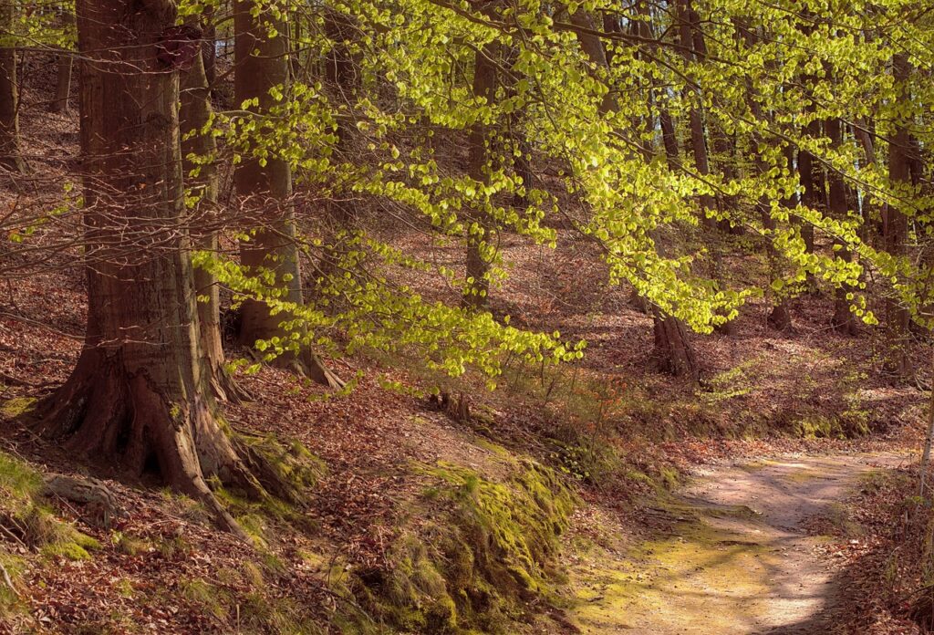 照明の経費は勘定科目で何に分類すればいい？